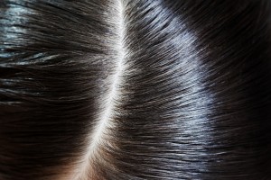 頭皮と髪のイメージ