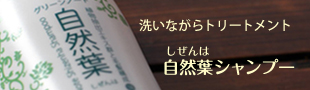 洗いながらトリートメント 自然葉シャンプー