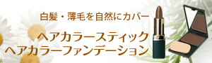 白髪・薄毛を自然にカバー ヘアカラースティック ヘアカラーファンデーション
