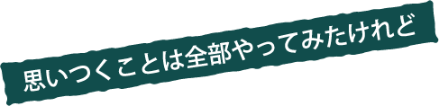 思いつくことは全部やってみたけれど