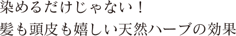 染めるだけじゃない！髪も頭皮も嬉しい天然ハーブの効果