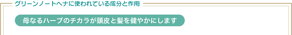 グリーンノートヘナに使われている成分と作用 母なるハーブのチカラが頭皮と髪を健やかにします