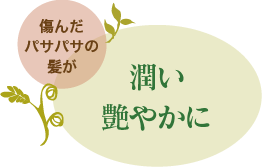 傷んだパサパサの髪が 潤い艶やかに