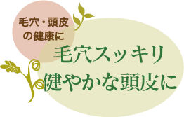 毛穴・頭皮の健康に 毛穴スッキリ健やかな頭皮に