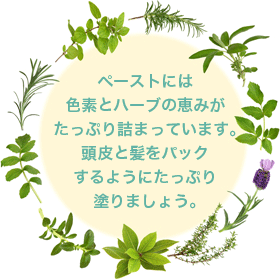 ペーストには色素とハーブの恵みがたっぷり詰まっています。頭皮と髪をパックするようにたっぷり塗りましょう。