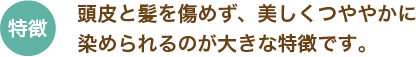 特徴:頭皮と髪を傷めず、美しくつややかに染められるのが大きな特徴です。