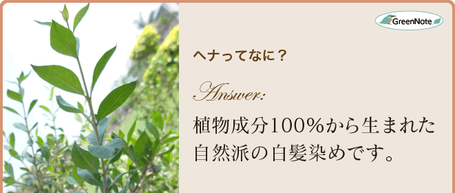 ヘナってなに？植物成分100％から生まれた自然派の白髪染めです。