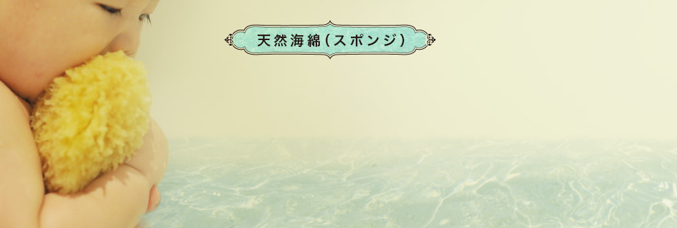 天然海綿（スポンジ）天使のように柔らかい肌触りエーゲ海から来たとっても優しいスポンジ