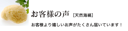 お客様の声：天然海綿スポンジ