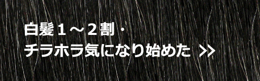 白髪１〜２割・チラホラ気になり始めた