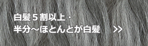 白髪５割以上・半分〜ほとんどが白髪