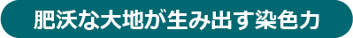 肥沃な大地が生み出す染色力