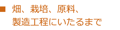 畑、栽培、原料、製造工程にいたるまで