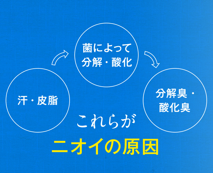 これらがニオイの原因